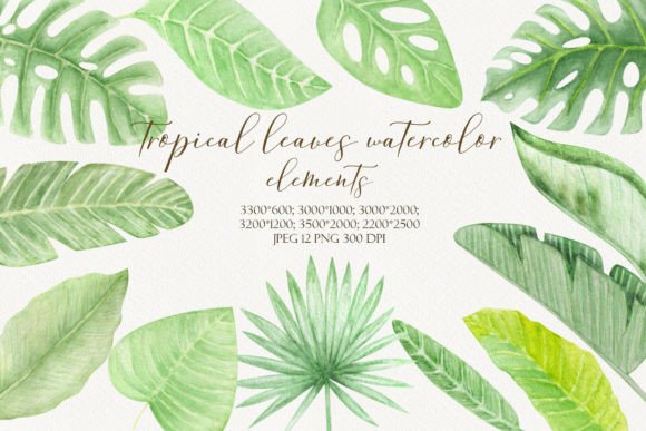 Download Tropical Leaves Watercolor Hand Drawn - Hand drawn Collection