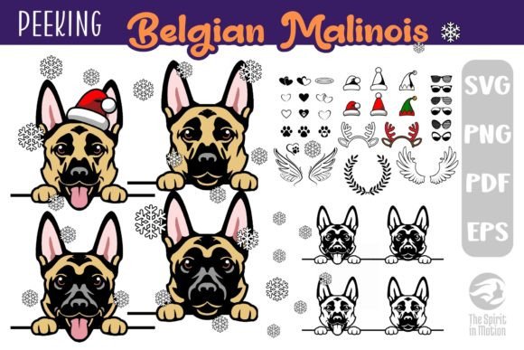 Download Belgian Malinois SVG, Clipart &amp; Cutfiles - Premium Bundle