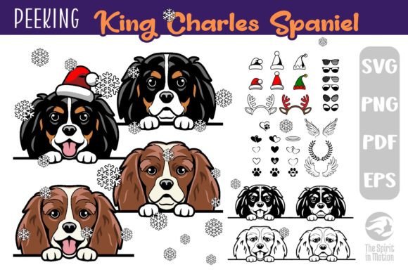 Download King Charles Spaniel PNG &amp; SVG Cutfiles - Premium Resources