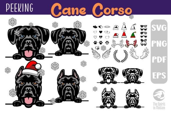 Download Cane Corso SVG, Clipart &amp; Cutfiles - Premium Resources